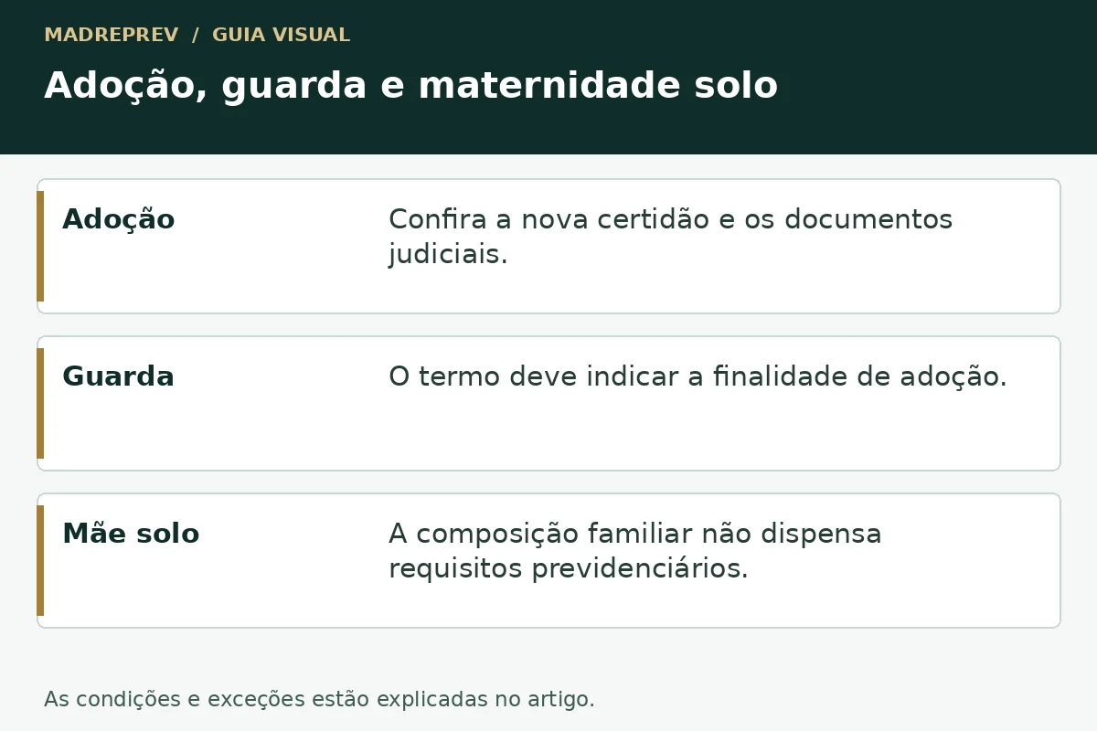 Adoção, guarda e maternidade solo: adoção; guarda; mãe solo.